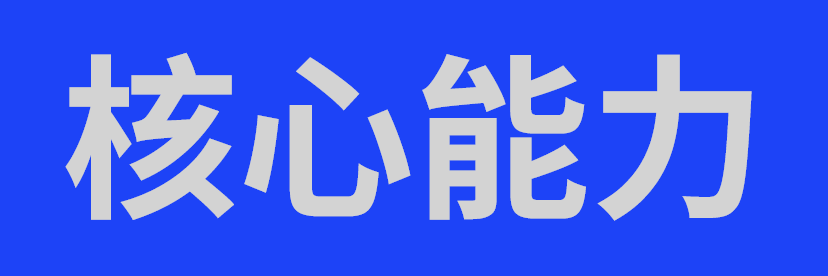 核心能力